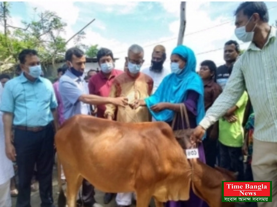 কুড়িগ্রামের চিলমারীতে ২০৪ জন হতদরিদ্রের মাঝে আরডিএ প্রকল্পের গরু বিতরণ