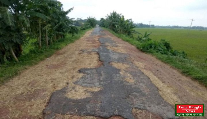 গোপালগঞ্জের চান্দা বিল ও বাঘিয়ার বিলের দুটি সড়কের বেহাল দশা।