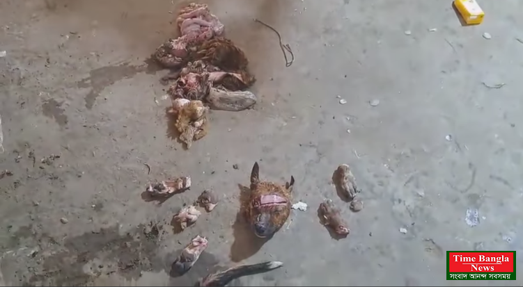 ধনবাড়ীতে কুকুরের মাংস বিক্রির অভিযোগ।