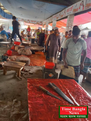 শাজাহানপুরের খরনা হাটে গর্ভবতী গাভী জবাইয়ের অভিযোগ, কসাইকে তাড়াল জনতা; গাই ও বকনা জবাইয়ে নিষেধাজ্ঞা