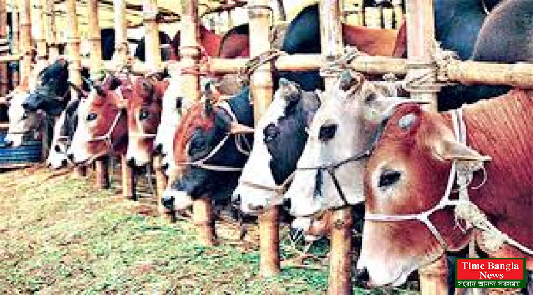 সিলেটে অস্থায়ী পশুর হাট ইজারার দরপত্র আহ্বান