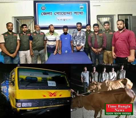 গরুভর্তি ট্রাকে ডাকাতি: আন্তঃজেলা ডাকাত চক্রের ৩ সদস্য গ্রেফতার, ট্রাক ও ৭টি গরু উদ্ধার