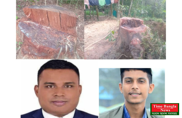 কক্সবাজার দক্ষিণ বন বিভাগের রাজারকুল রেঞ্জে দুই গর্জন কর্তন নীরব ভূমিকায় সংশ্লিষ্ট কর্মকর্তারা!