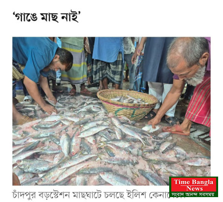 ইলিশের উৎপাদন কমছে চার কারণে, ভরা মৌসুমেও দাম চড়া,
