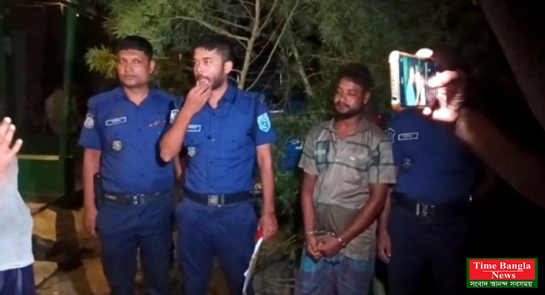 আদা ক্ষেতের আড়ালে গাঁজা চাষ, ঘোড়াঘাটে ১২ ফুট গাছসহ গ্রেপ্তার